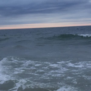 Meet your Posher, Harmony